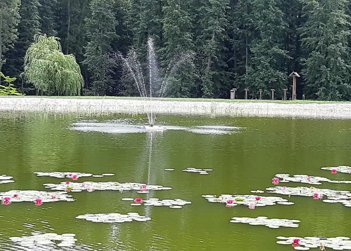 Antal Apartmanok