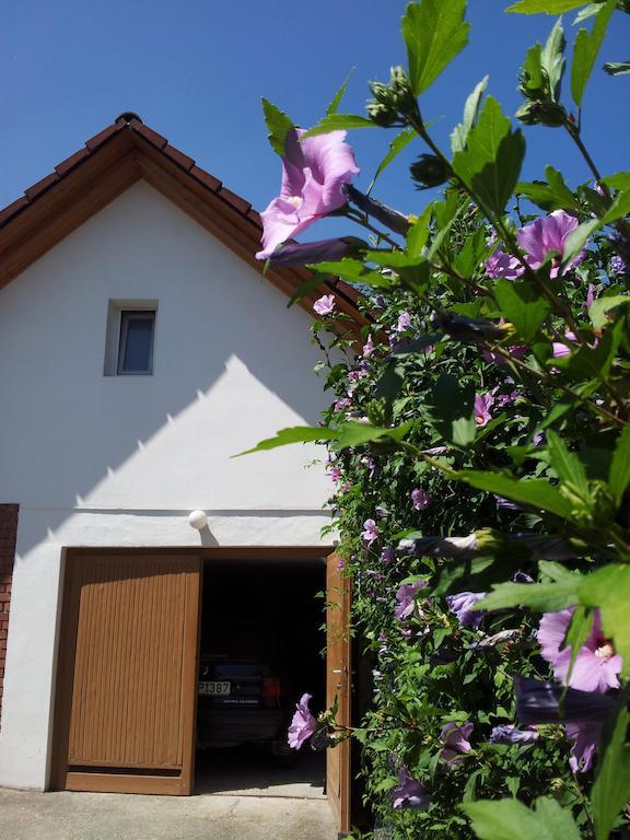 Apartment Antal